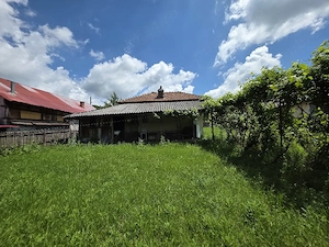 Casa batraneasca cu teren 3000 m, Calinesti, Arges - imagine 2