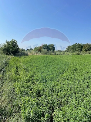 Teren intravilan 1270mp | Turda | Oportunitate de Investiție - imagine 3