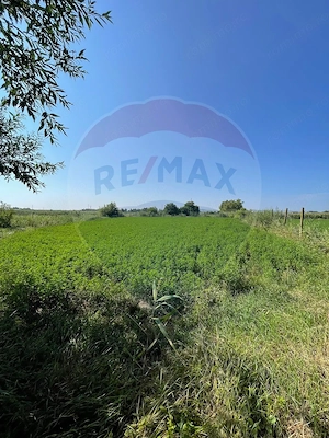 Teren intravilan 1270mp | Turda | Oportunitate de Investiție - imagine 2