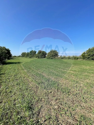 Teren intravilan 4370mp | Turda | Oportunitate de Investiție - imagine 7
