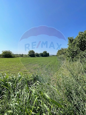 Teren intravilan 4370mp | Turda | Oportunitate de Investiție - imagine 13
