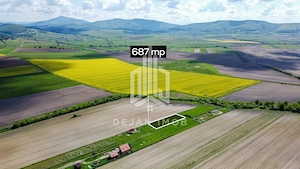 Teren intravilan | 687 MP | Aninoasa - imagine 2