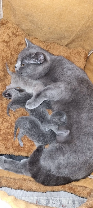 Cadoul perfect pentru orice vârstă 