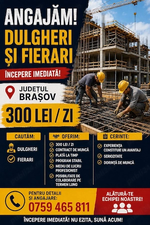 Angajam Dulgheri si fierari cu incepere imediata