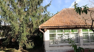 Casă teren de vânzare în Marghita   35.000   - imagine 2