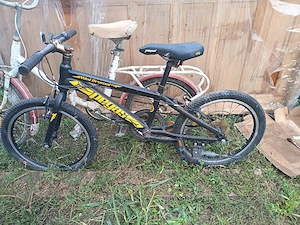 bicicleta Pegas Mini 