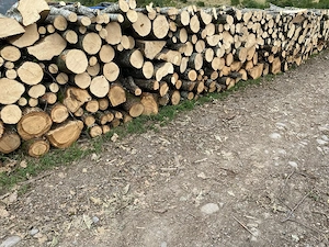 lemne de foc