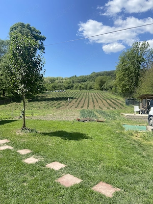 Domeniu cu casa renovata  si anexa , plantație de lavanda , panouri fotovoltaice de 5kw si baterie - imagine 7