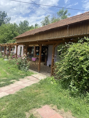 Domeniu cu casa renovata  si anexa , plantație de lavanda , panouri fotovoltaice de 5kw si baterie - imagine 10