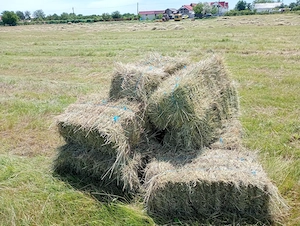 Baloți lucernă fân paie