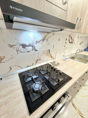 Apartament cu 1camera decomandat mobilat si utilat in Giroc in spate la Hotel IQ - imagine 6