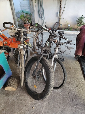 3 Biciclete