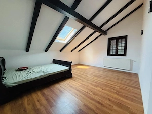 DE INCHIRIAT Casa individuala, 180mp utili, 720 teren-Sanmihaiul Roman - imagine 12