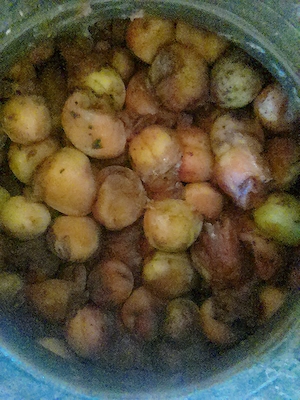 Borhot caise bio