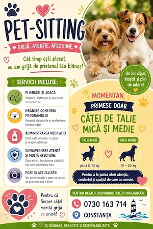 Pet sitiing îngrijitor animale contra cost  - imagine 3