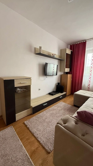 Apartament 1 camere - 300 euro - Zona Complex - imagine 2