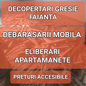 decopertari si Debarasari 
