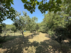 Casa de vacanta i  Ant . - imagine 2
