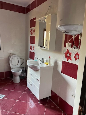     Proprietate exclusivă în Târgu Neamț   226 mp, teren 1.060 mp și potențial turistic - imagine 4
