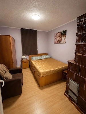 Casa si Teren, Comuna Breasta, Sat Obedin  - imagine 8