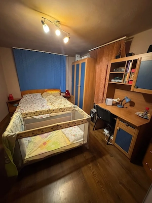 Casa si Teren, Comuna Breasta, Sat Obedin  - imagine 7
