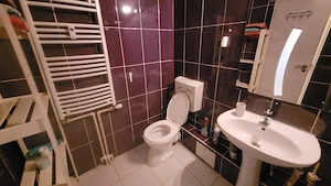 Garsoniera zona Mall Vitan - imagine 5
