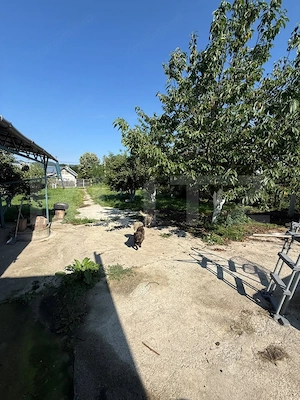 Casă P+1+M, 490 mp, teren 2.714 mp, zona Pucioasa - imagine 15