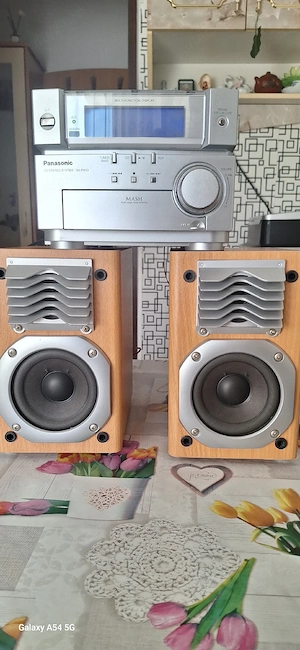 sistem audio Panasonic sa pm 03