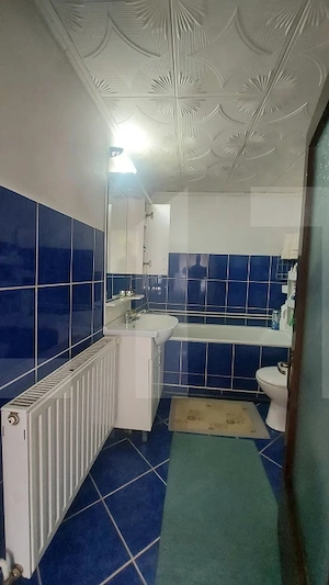 Vila cu teren intravilan, 4.400 mp, Valcele - imagine 11