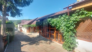 Vila cu teren intravilan, 4.400 mp, Valcele - imagine 2