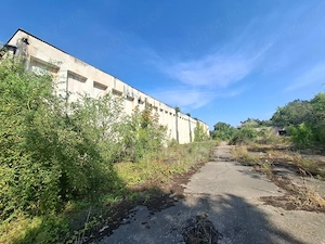 Inchiriez hala 6.886 mp construiți | Teren 11.510 mp | Lipova, jud. Arad ID: 45373 - imagine 4