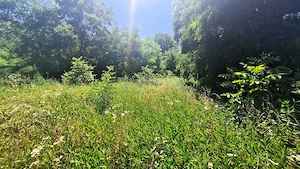 Teren 800 mp intravilan Cisnadioara-Versailles