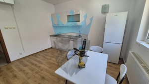 Casa  8 Camere Tineretului Bucuresti - imagine 17