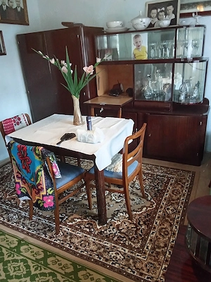 vand casa cu anexe si teren mare - imagine 2