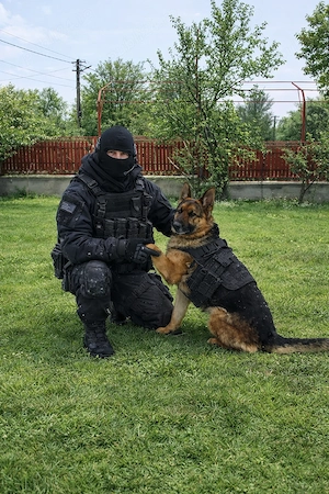 Doresc angajare agent securitate . - imagine 2
