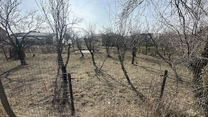 Teren 800 mp intravilan str. Olteni, Mosoaia, Arges