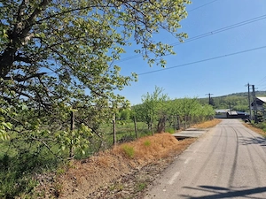 Teren Calinesti, Arges!