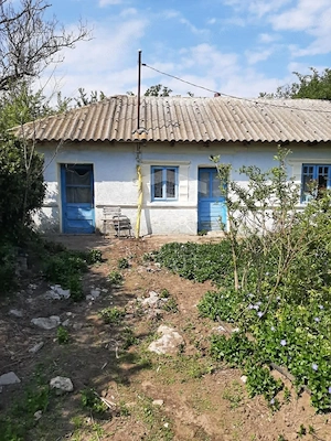 Teren intravilan 2562mp Loc 23 August | Ideal locuiță sau casă vacanță - imagine 2