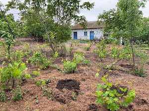 Teren intravilan 2562mp Loc 23 August | Ideal locuiță sau casă vacanță - imagine 5