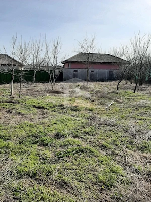 Teren intravilan 2562mp Loc 23 August | Ideal locuiță sau casă vacanță