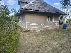 Cabana la deal cu vie si livada 