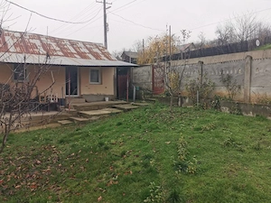 De vanzare casa in Argetoaia cu teren 7.000 mp