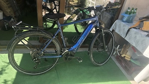 Biciclete electrice Giant PRO XL si Winora Yucatan 9