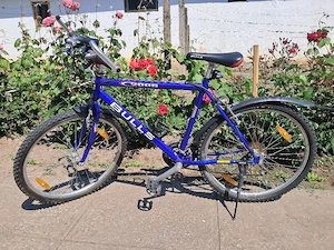 Bicicletă, City bike 