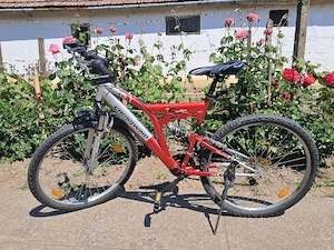 Bicicletă, Montainbike 