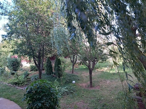 In atentia ,,dezvoltatorilor ,, imobiliari  , si nu numai...  VILA + TEREN Laniste  Suceava - imagine 9