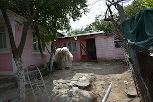 Vand casa+ teren, Comuna Costache Negri, Jud. Galati - imagine 3