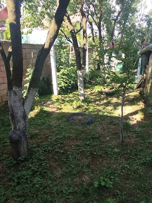 Casă de vânzare în Groși  - imagine 7