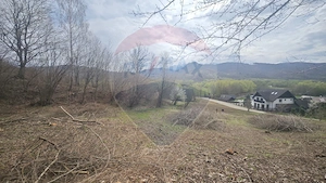 Teren 2,000mp Rasnov / Strada Coltii cheii - imagine 2