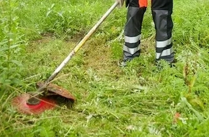cosesc iarba cu motocoasă 